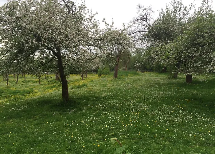 Вилла Winzerhaus Am Elbhang *